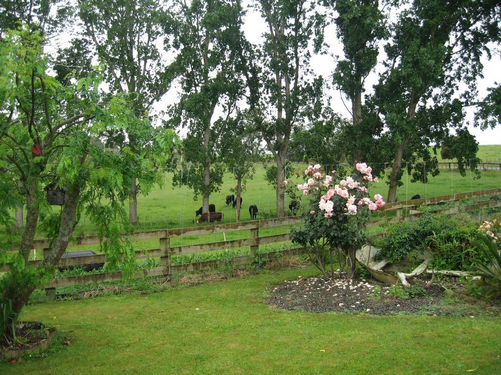 Miranda Orchard Cottage Exterior foto